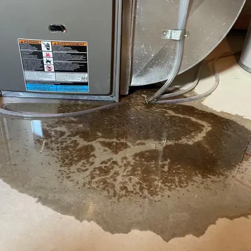 Appliance Leak Cleanup in Greenwood, DE